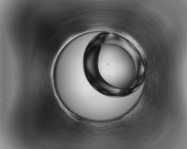 X0000087681046200705111256