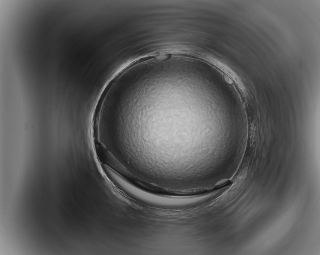 X0000087681047200705111256