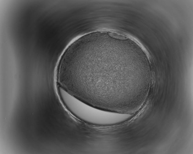 X0000087681048200705111256