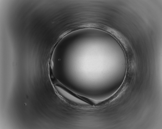 X0000087681049200705111256