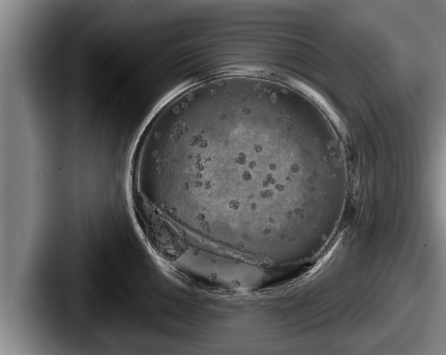 X0000087681050200705111256
