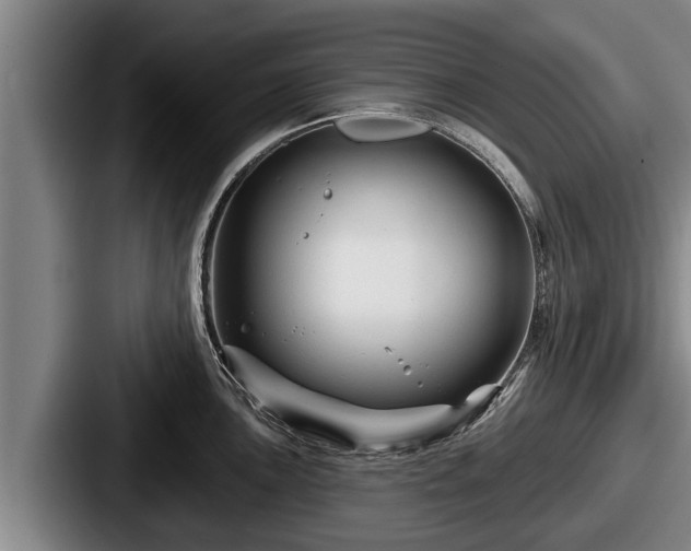 X0000087681051200705111256