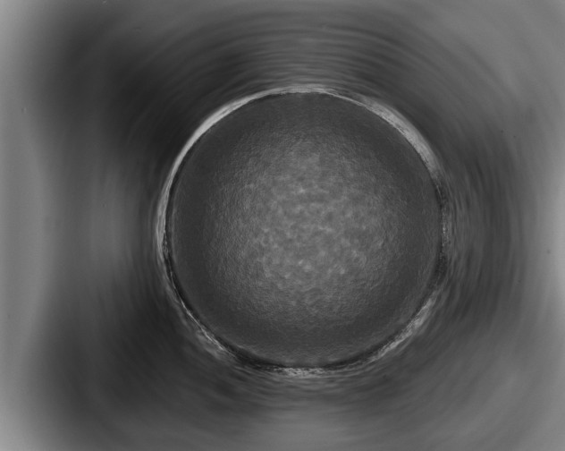 X0000087681052200705111256