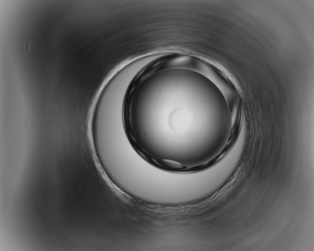 X0000087681054200705111257