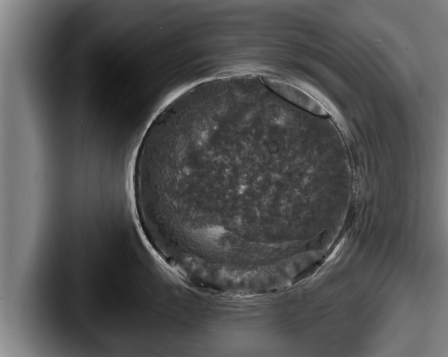 X0000087681055200705111257