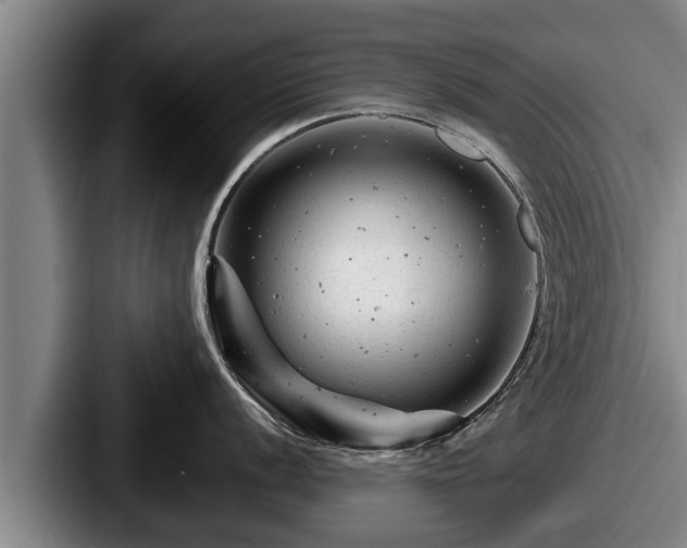 X0000087681056200705111257
