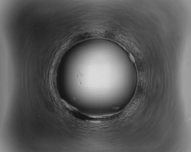 X0000087681057200705111256