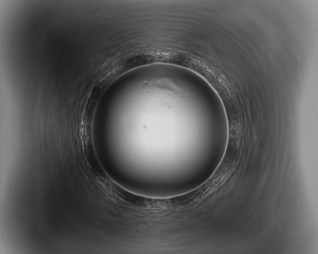 X0000087681058200705111256