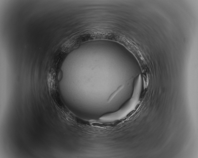 X0000087681059200705111256