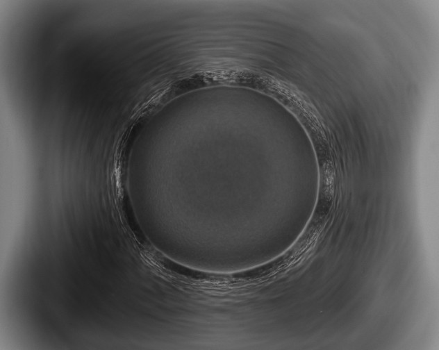 X0000087681060200705111256