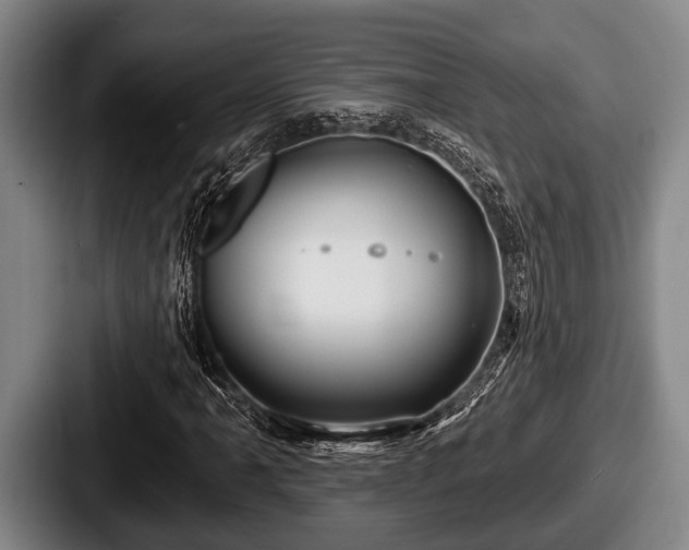 X0000087681061200705111256