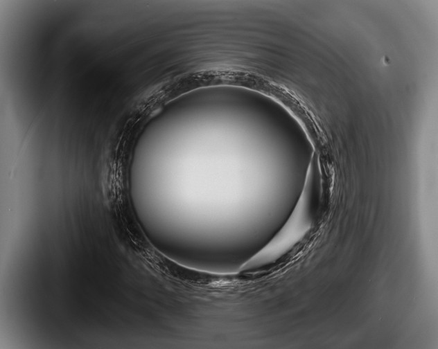 X0000087681062200705111256