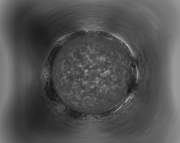 X0000087681063200705111256