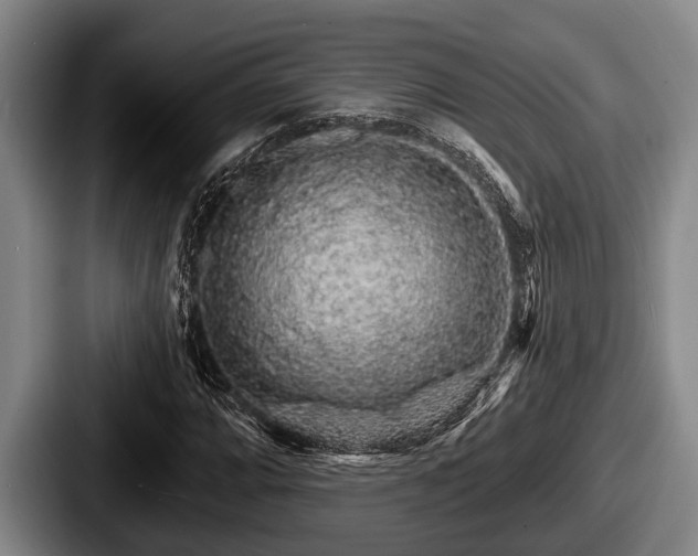X0000087681064200705111256