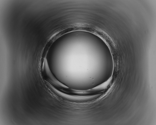X0000087681065200705111256