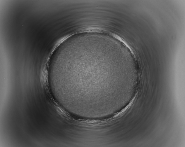 X0000087681066200705111256