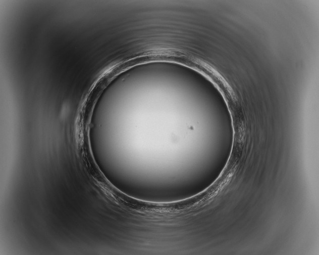 X0000087681067200705111256