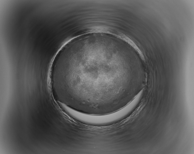 X0000087681068200705111256