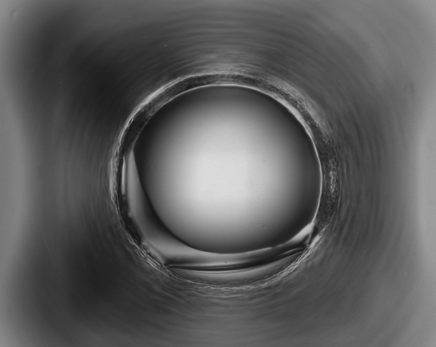 X0000087681069200705111256