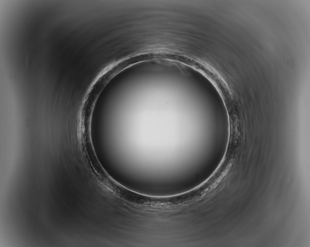 X0000087681070200705111256