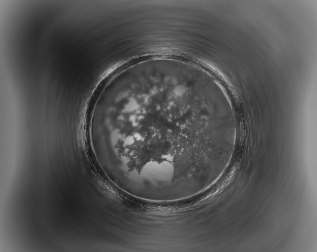 X0000087681071200705111256