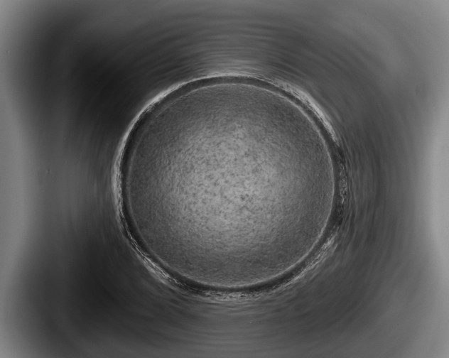 X0000087681072200705111256