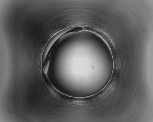 X0000087681073200705111256