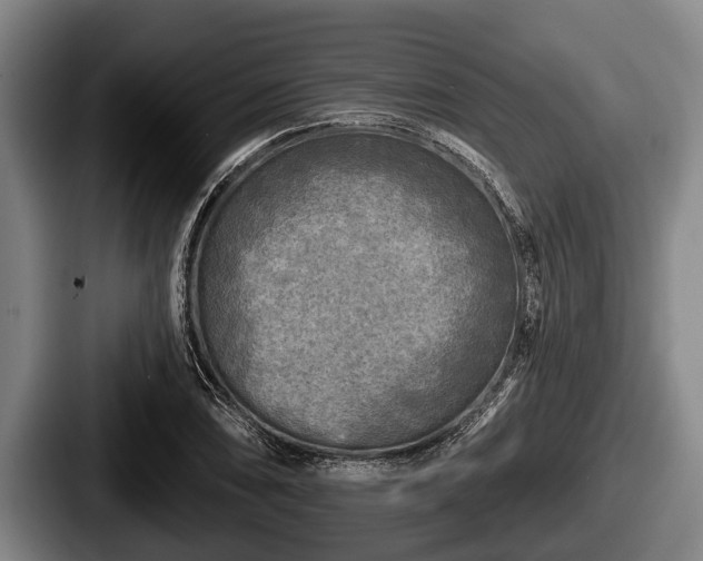 X0000087681074200705111256