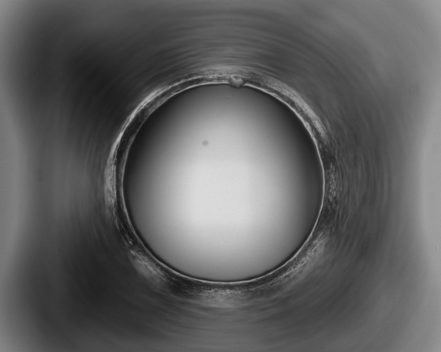 X0000087681075200705111256