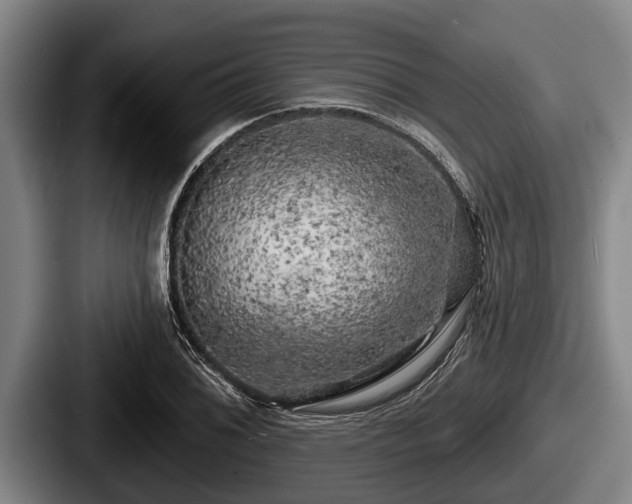 X0000087681076200705111255