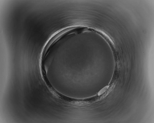 X0000087681077200705111255
