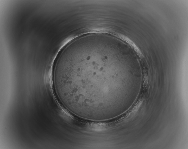 X0000087681079200705111255