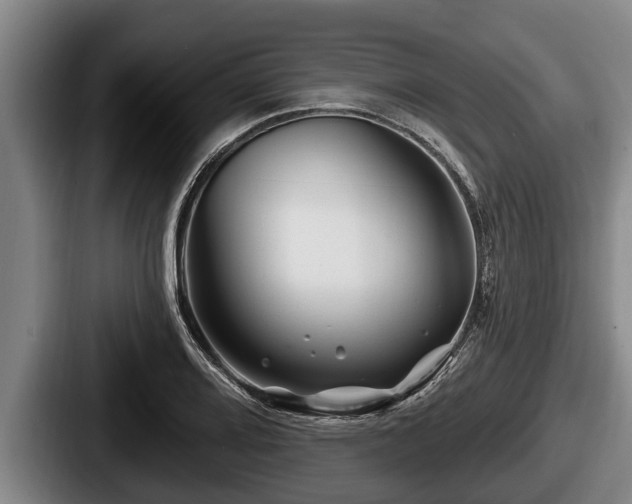 X0000087681080200705111255