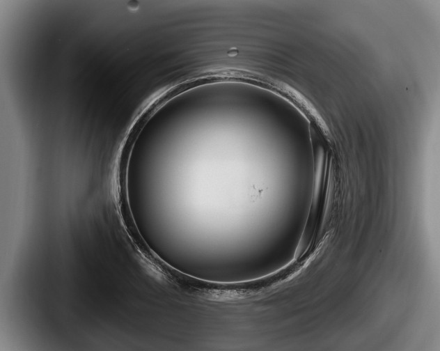 X0000087681082200705111255