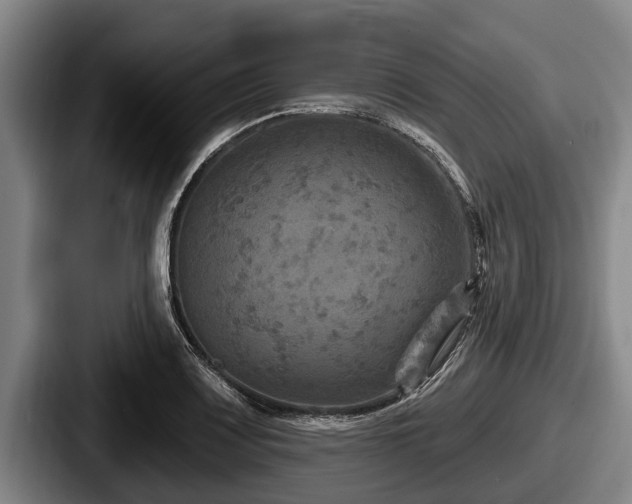 X0000087681083200705111255