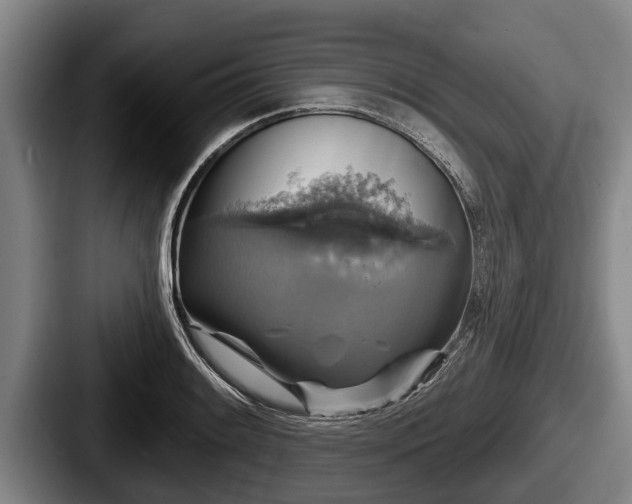 X0000087681084200705111255