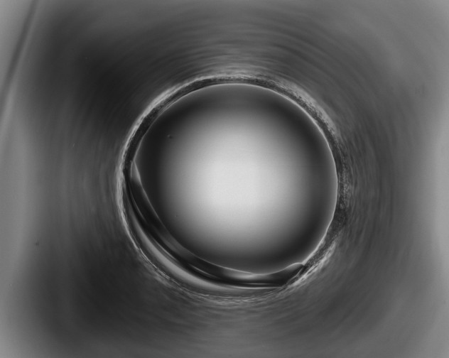 X0000087681085200705111255