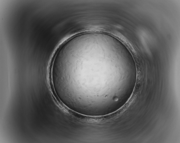 X0000087681086200705111255