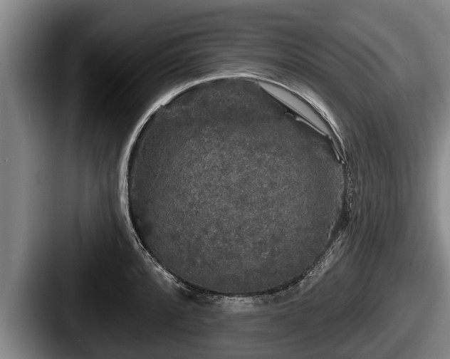 X0000087681088200705111255