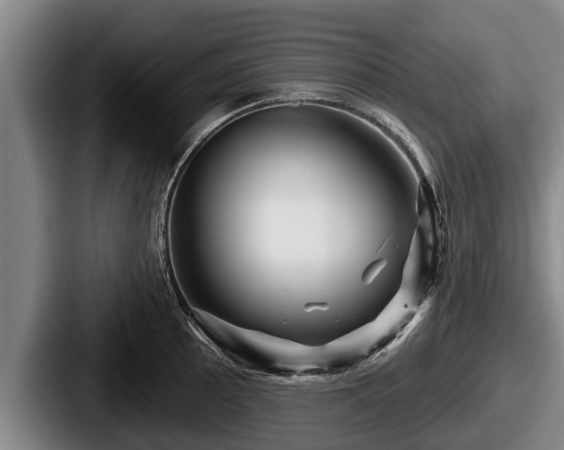 X0000087681089200705111255