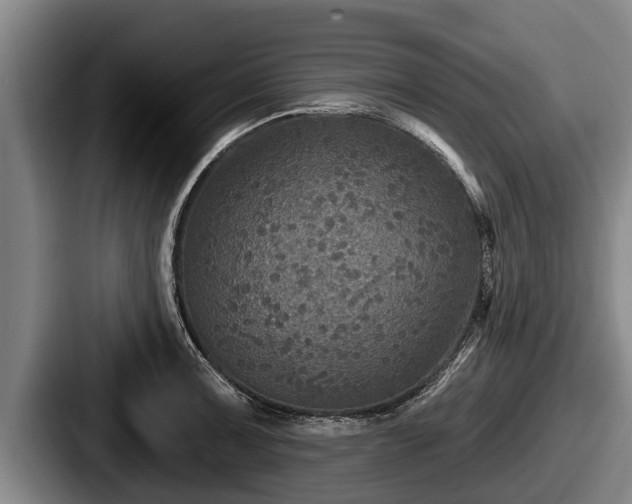X0000087681091200705111255