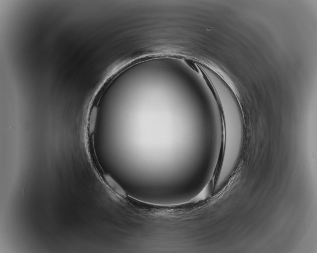 X0000087681093200705111255