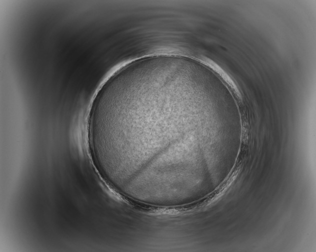 X0000087681094200705111255