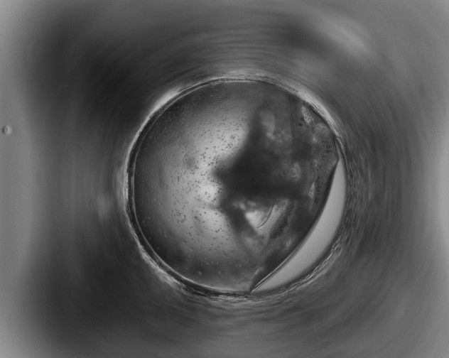X0000087681095200705111255