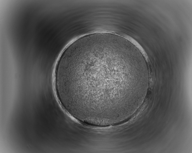 X0000087681096200705111255
