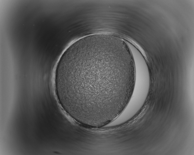 X0000087681099200705111255