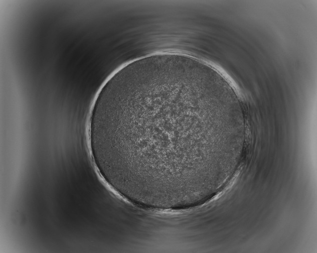 X0000087681100200705111255