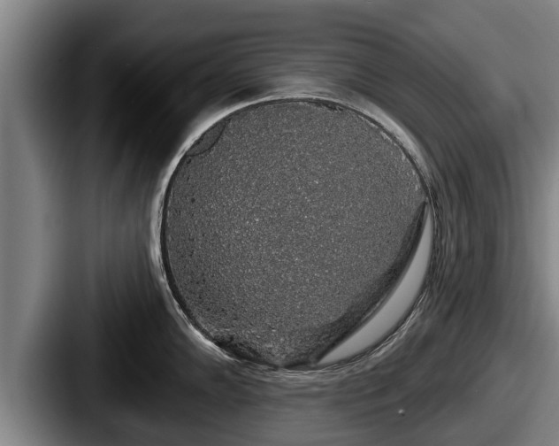 X0000087681102200705111255