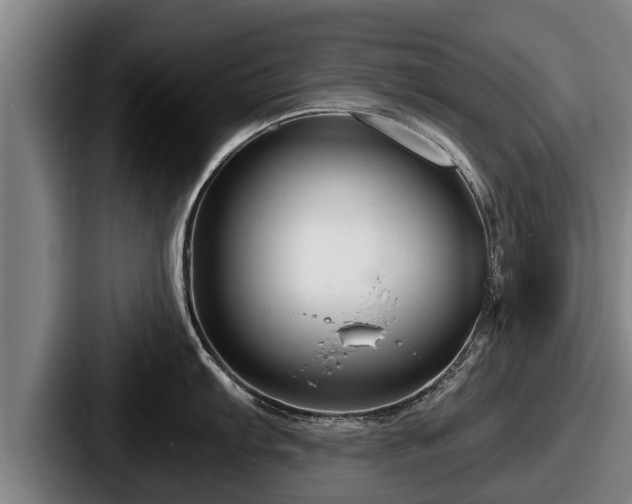 X0000087681103200705111255