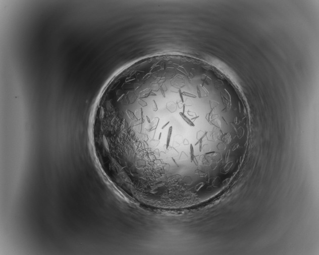 X0000087681104200705111255